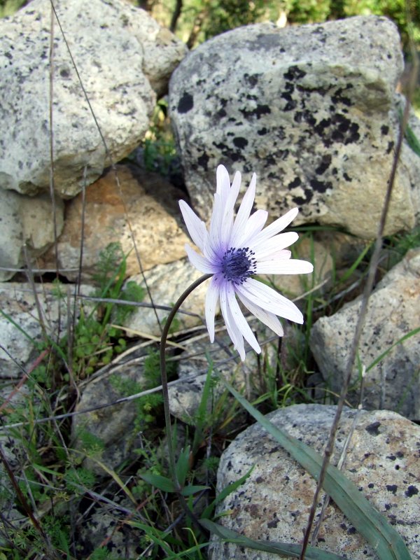 Novembre, l’estate di S.Martino