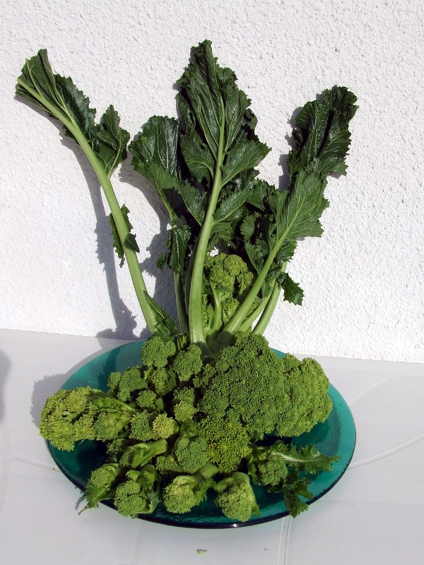 Febbraio, le cime di rapa