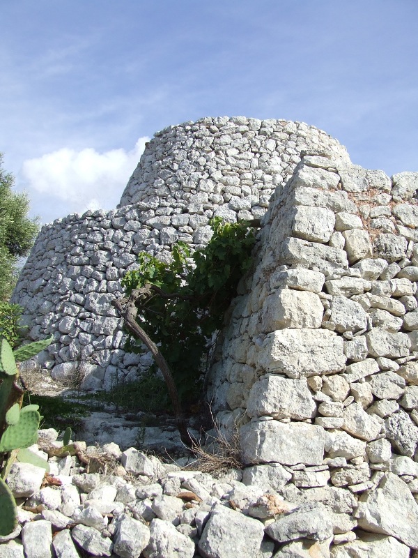 Pescoluse: dalle grotte preistoriche alle architetture rurali: caseddhi o pajare