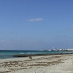 mare 1 novembre