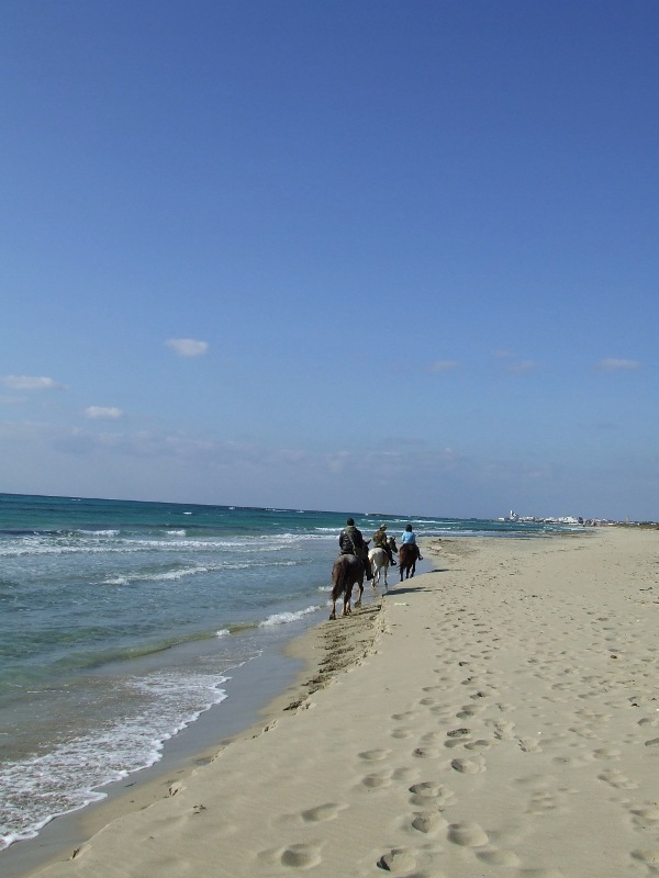 Novembre, mare fuori stagione