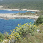 aprile Torre dell'Alto