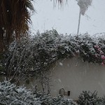 neve-giardino
